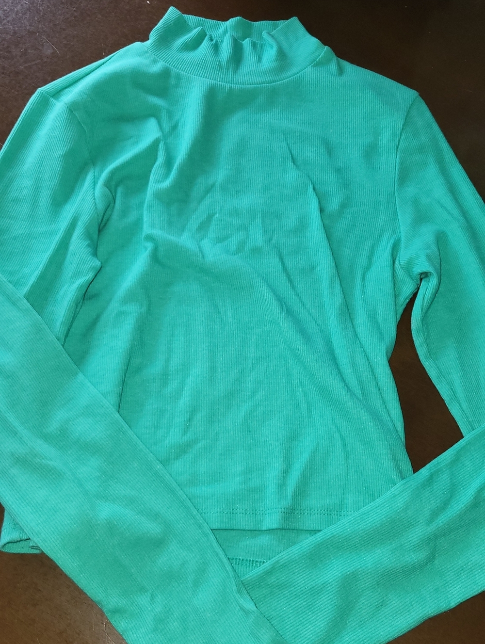 American Eagle Teal Cropped Mock Neck